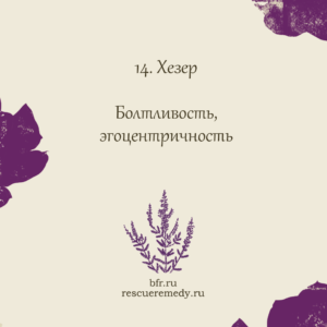 Капли "Цветы Баха" - натуральное успокоительное средство