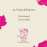 Капли "Цветы Баха" - натуральное успокоительное средство
