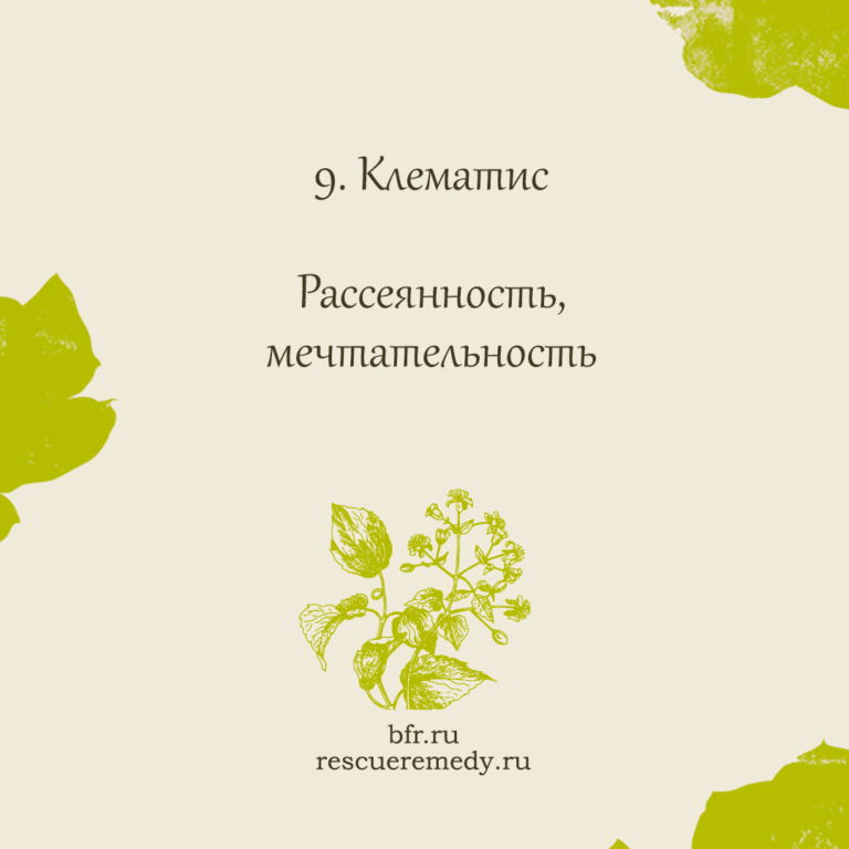 Капли "Цветы Баха" - натуральное успокоительное средство